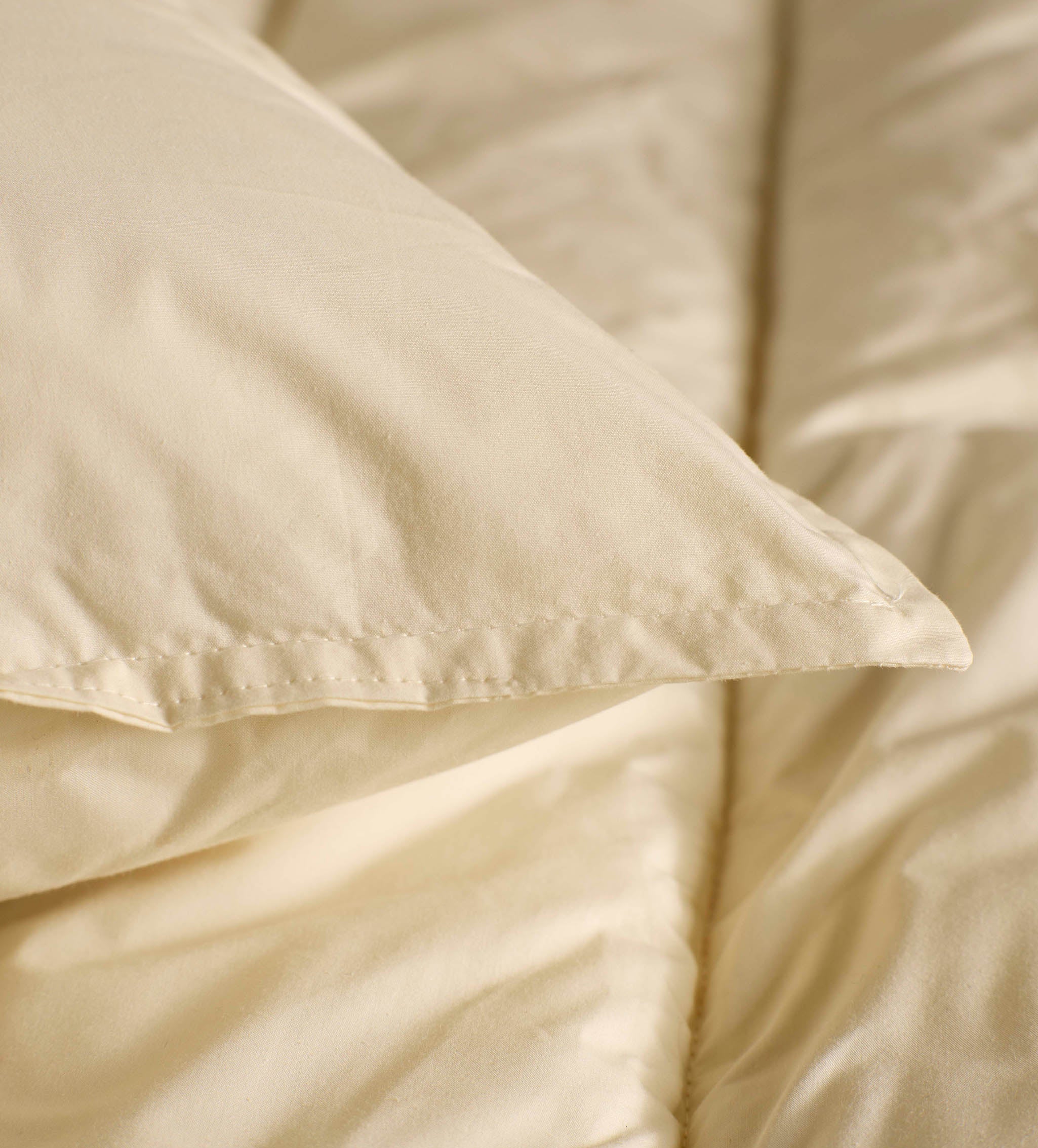 Baa Baa Bedtime Finest Wool Pillow