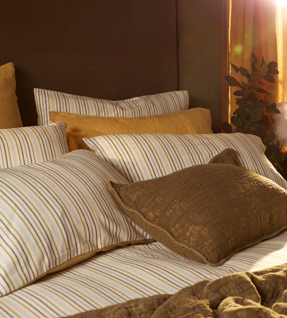 Polly Stripe Brushed 100% Organic Cotton Pillowcase