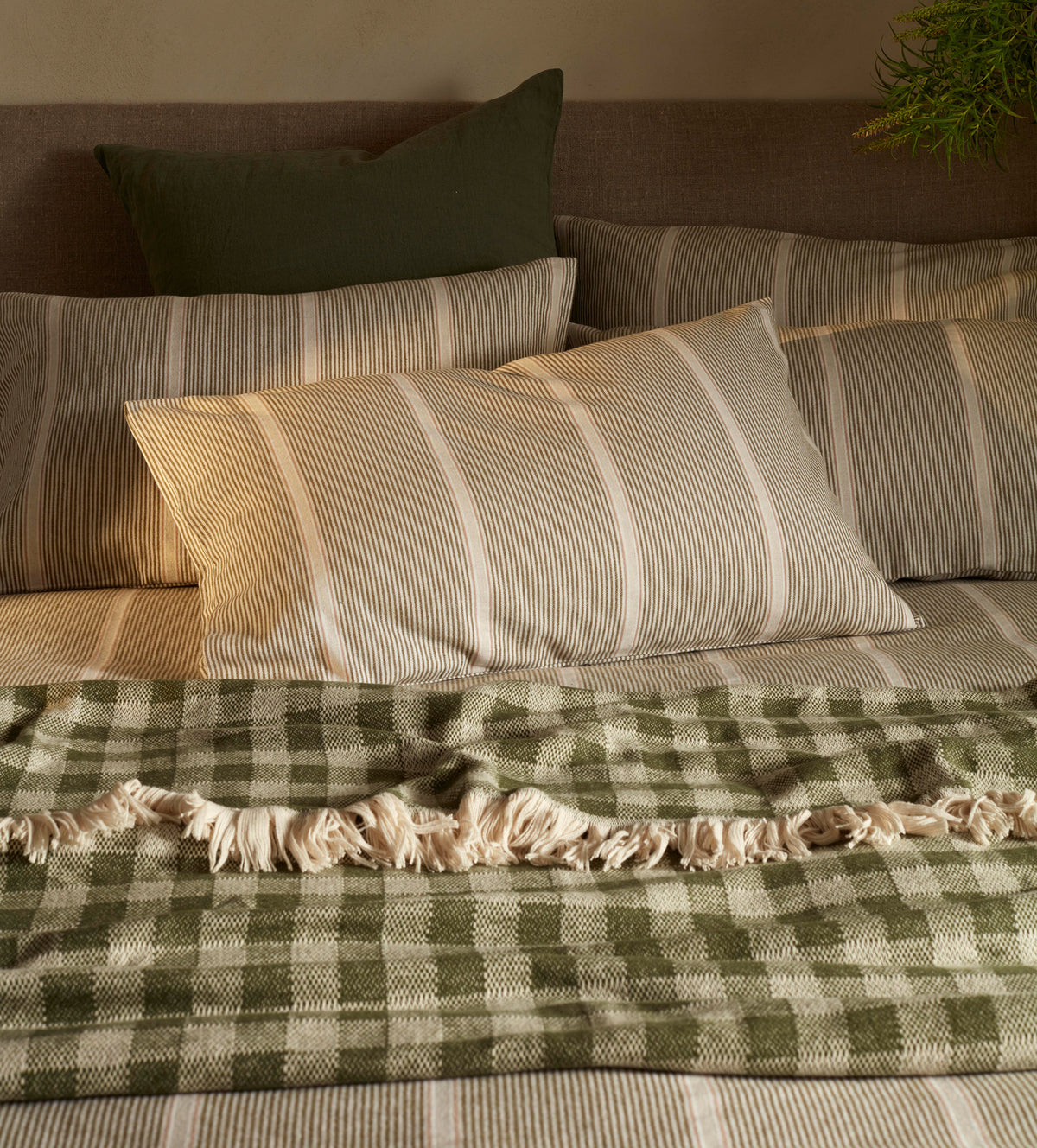 Sally Stripe Brushed 100% Organic Cotton Pillowcase