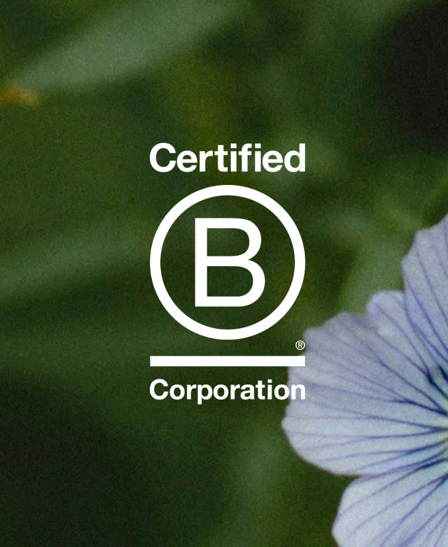 Celebrating B Corp Month 2026