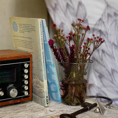 Why you Should be Hitting the Snooze Button