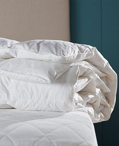 Master the Perfect Night's Sleep