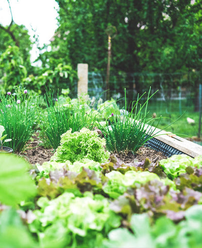 Our Office Sustainability Roadmap