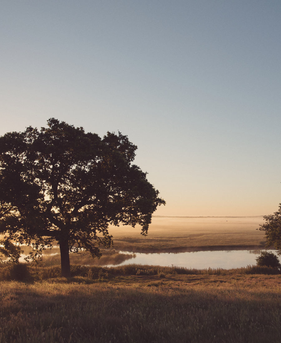 Retreat to Elmley Nature Reserve