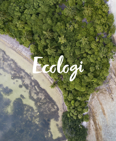 Ecologi, Trees and Us