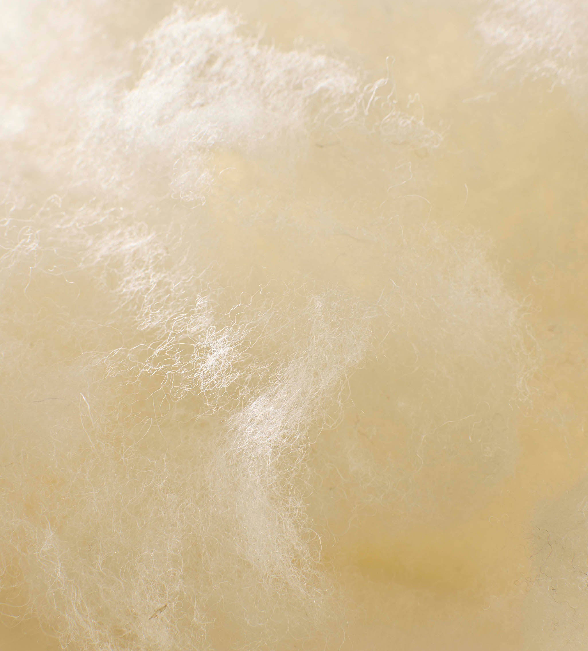 Baa Baa Bedtime Finest Wool Duvet