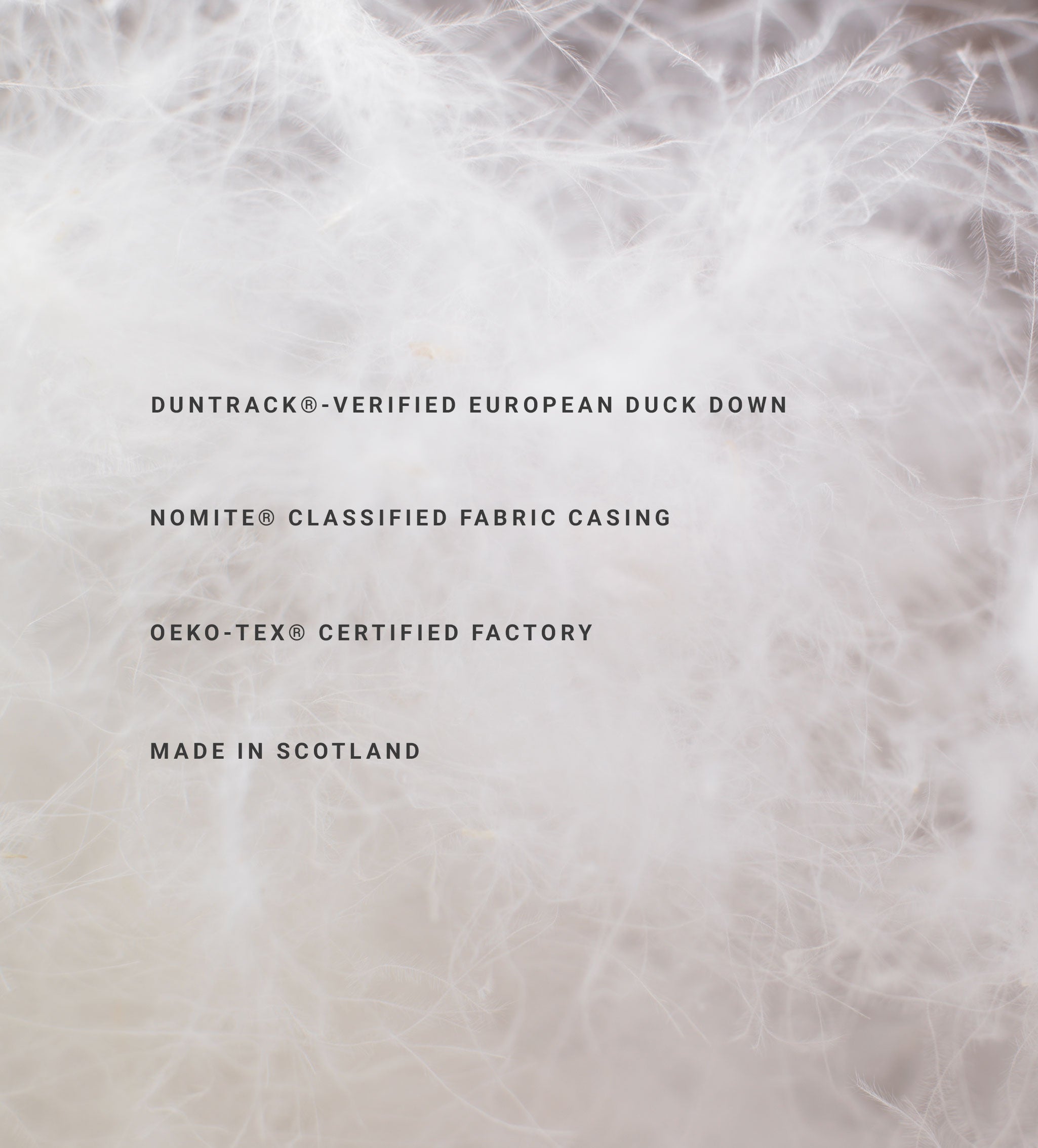 Natural European Duck Down Pillow