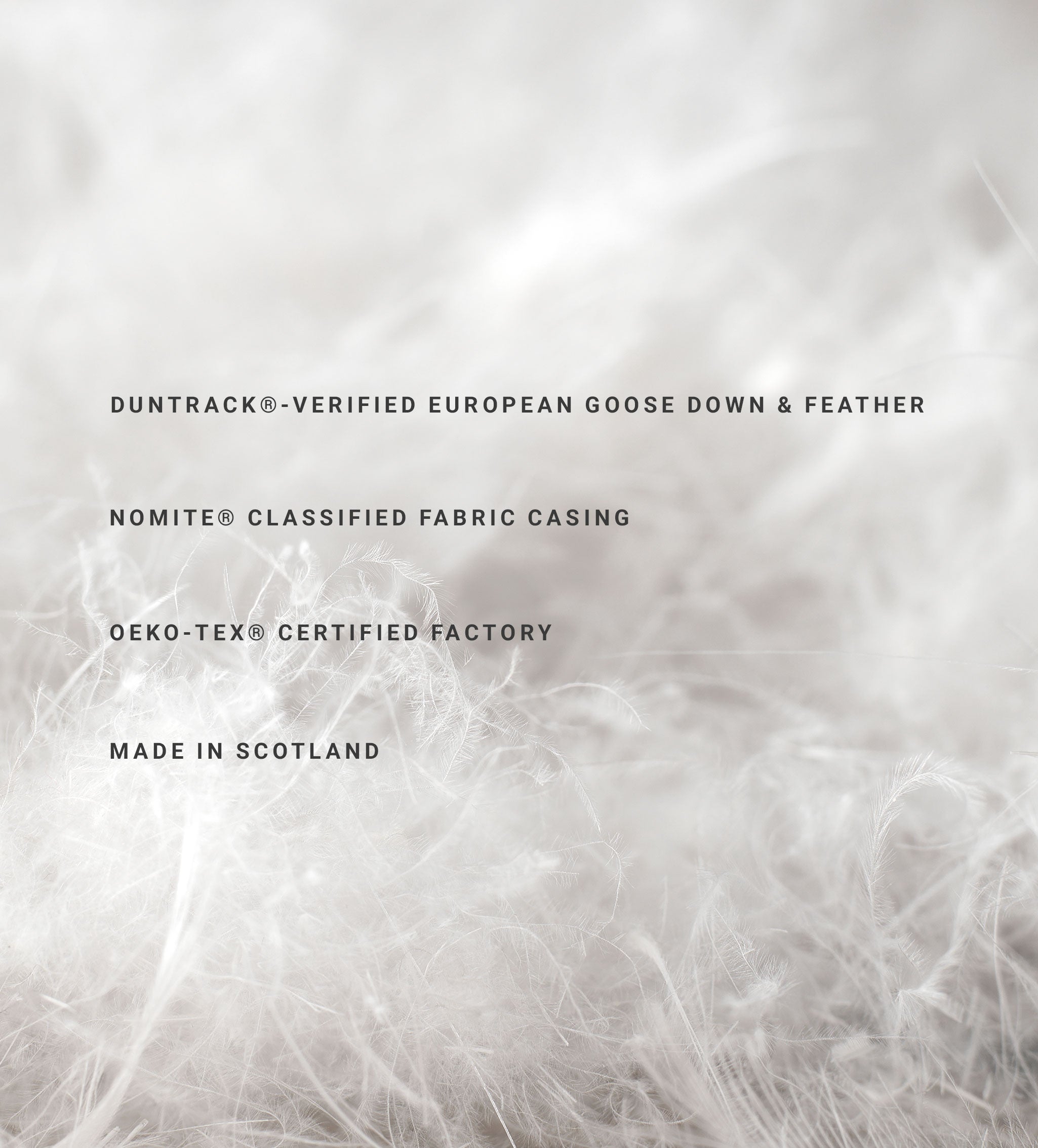 Natural European Goose Feather & Down Pillow