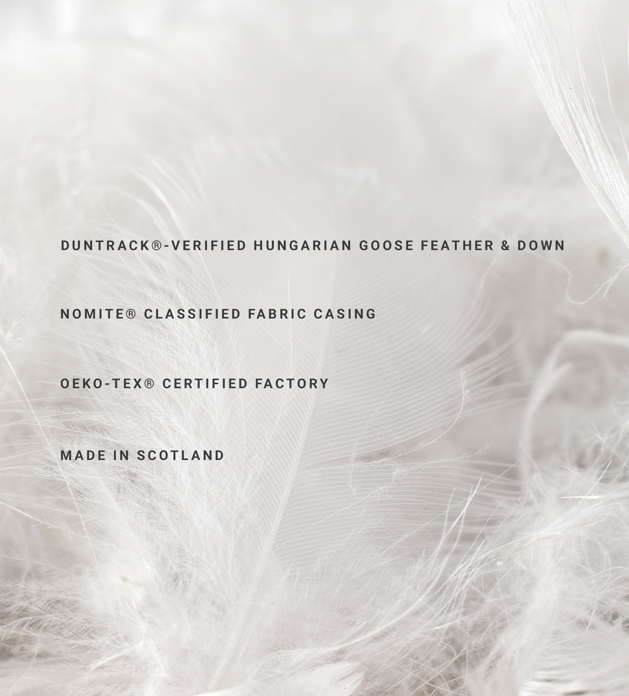 Natural Hungarian Goose Feather & Down Pillow