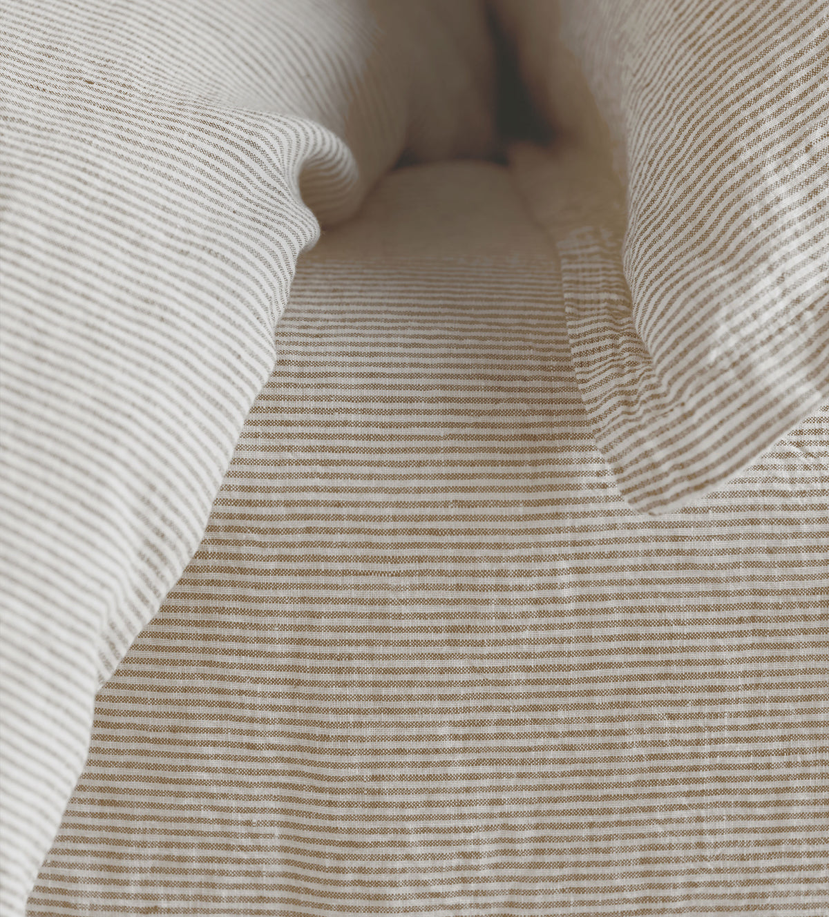 Sid Stripe 100% Fitted Sheet