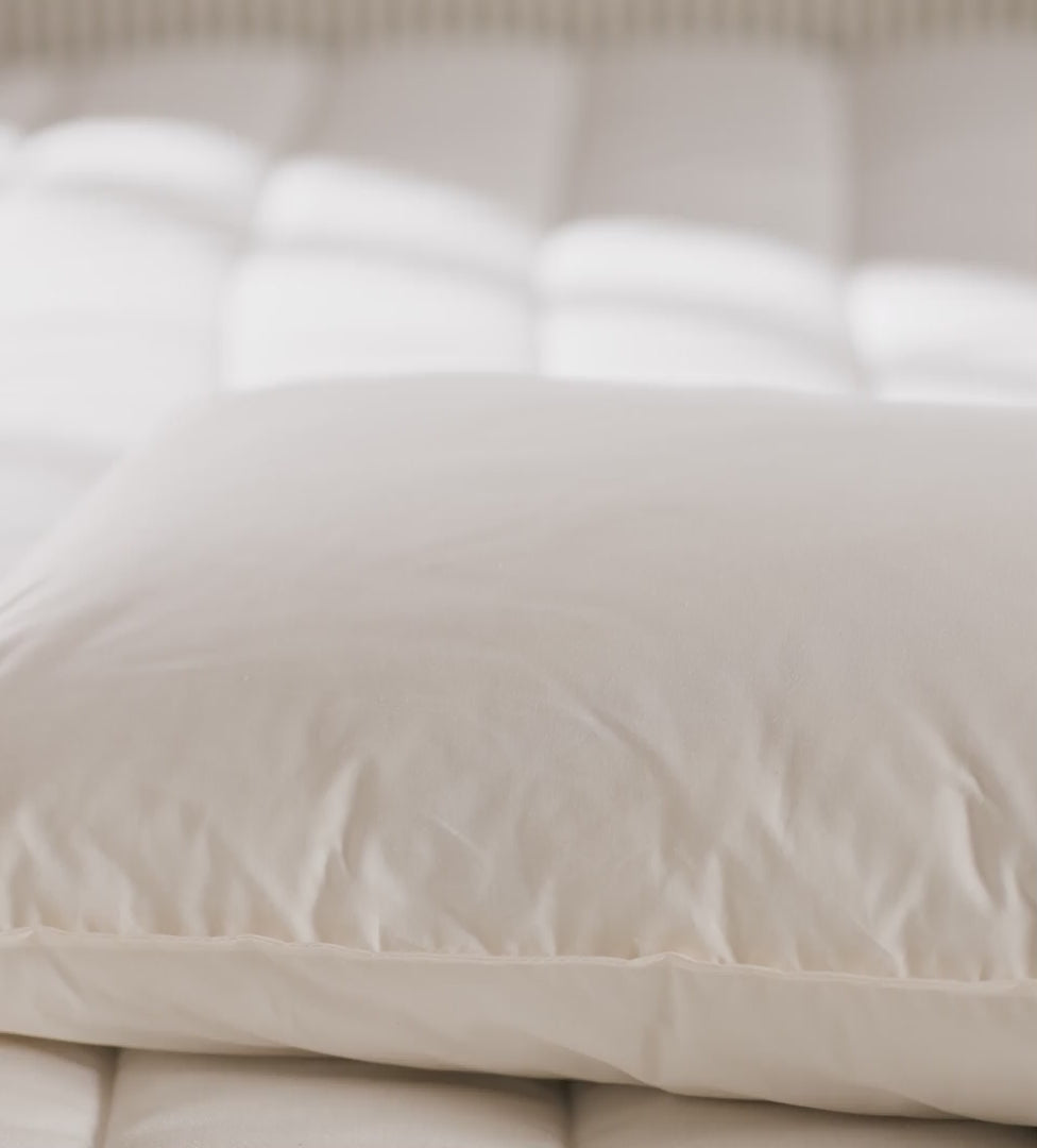 Baa Baa Bedtime Finest Wool Pillow