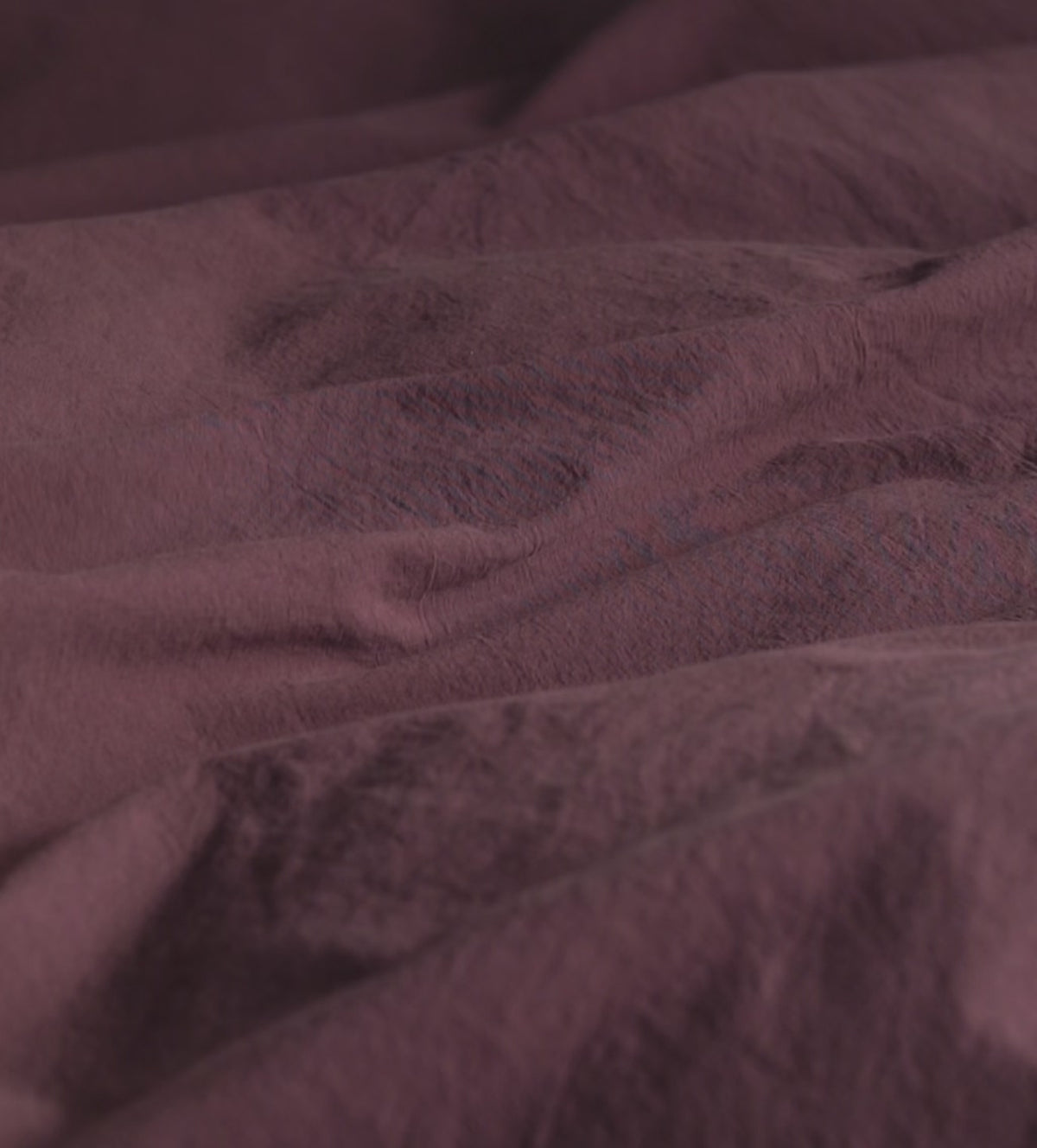 Plum Simply Organic Cotton Fitted Sheet