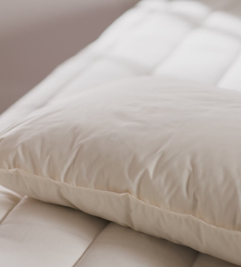 Baa Baa Bedtime Finest Wool Pillow