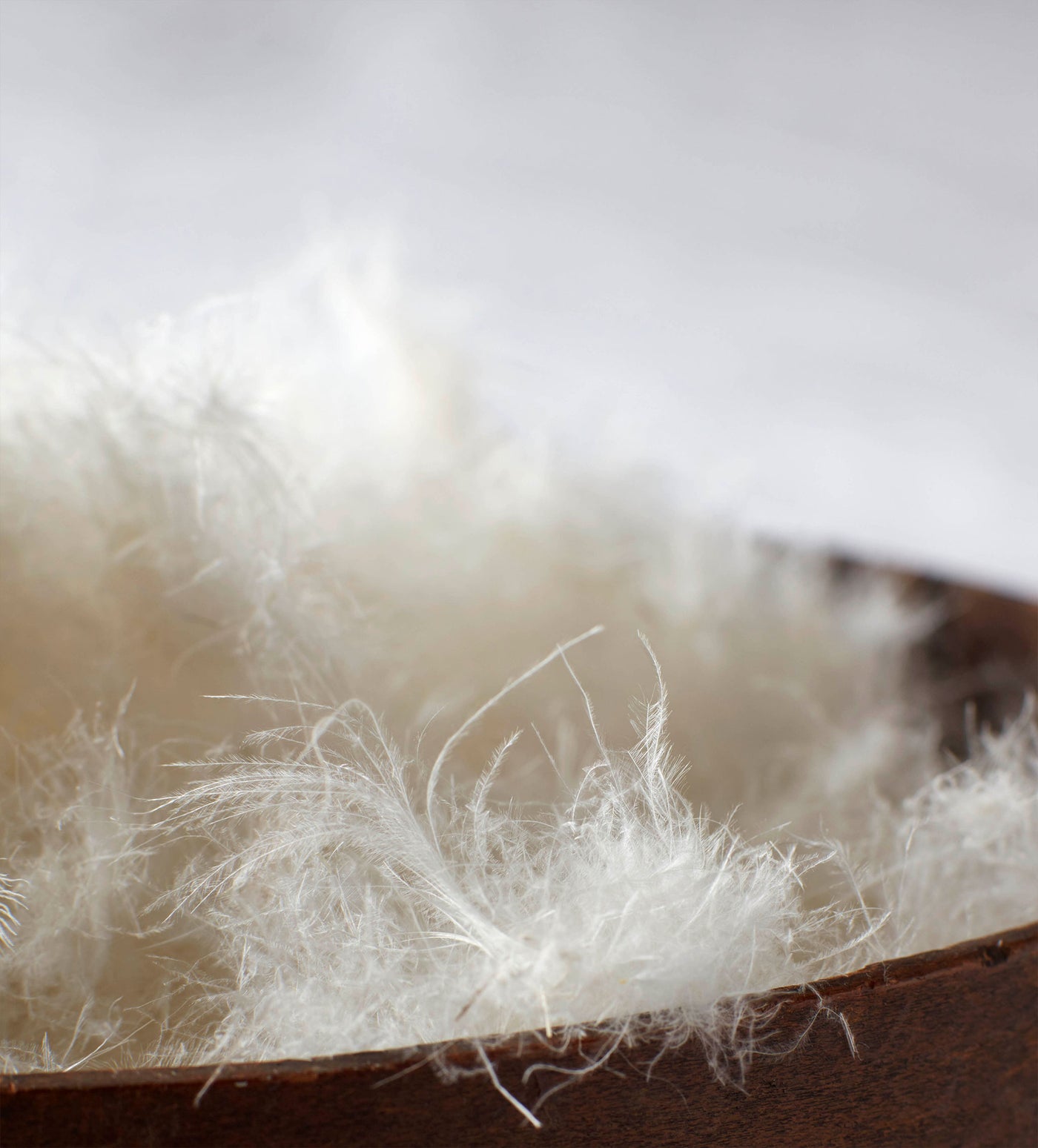 Dreamy Duck Pillows - European Duck Feather and Down