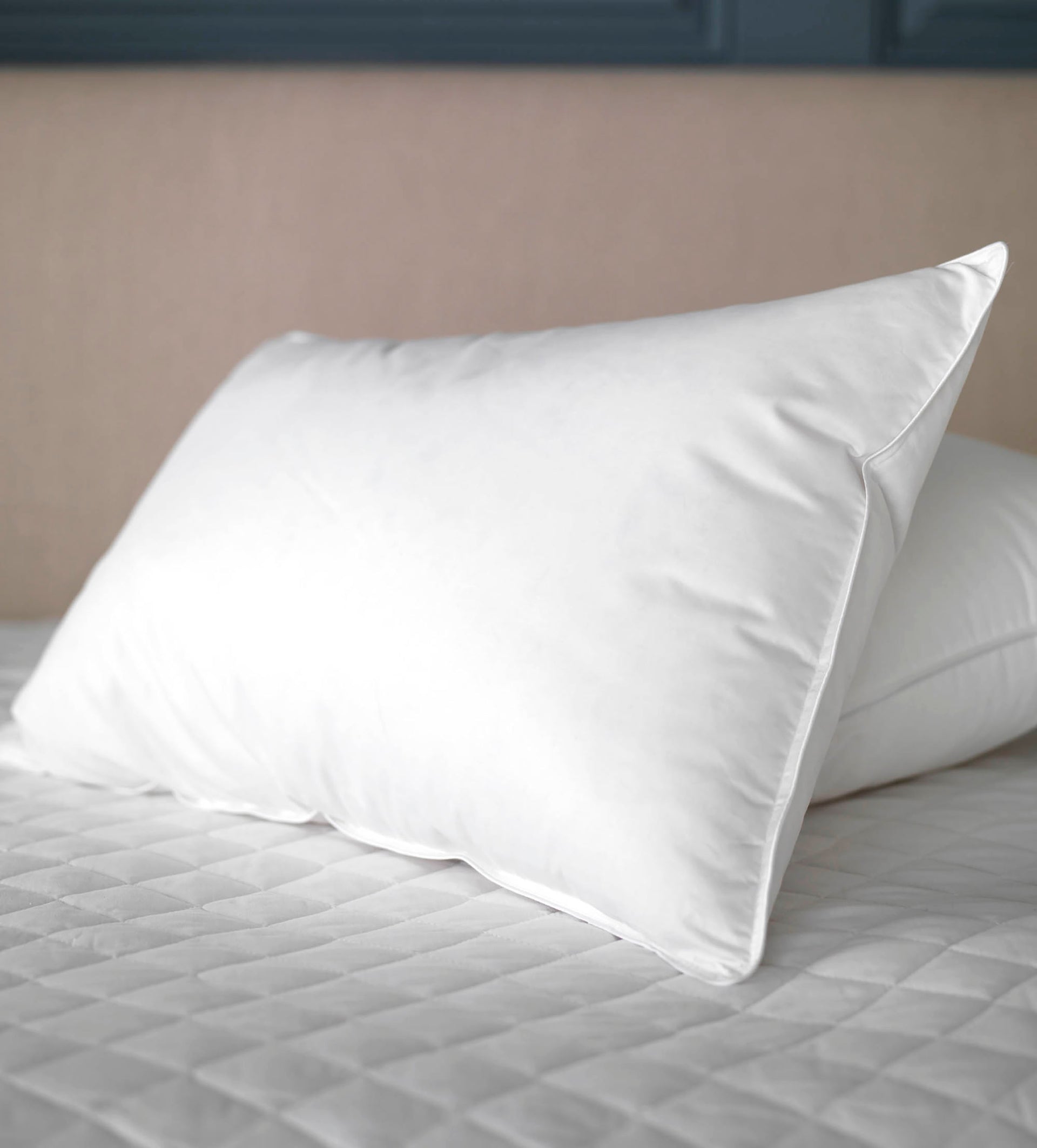 European Goose Feather & Down Pillow