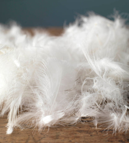 Great Goose Feather and Down Duvet and Pillow Filling