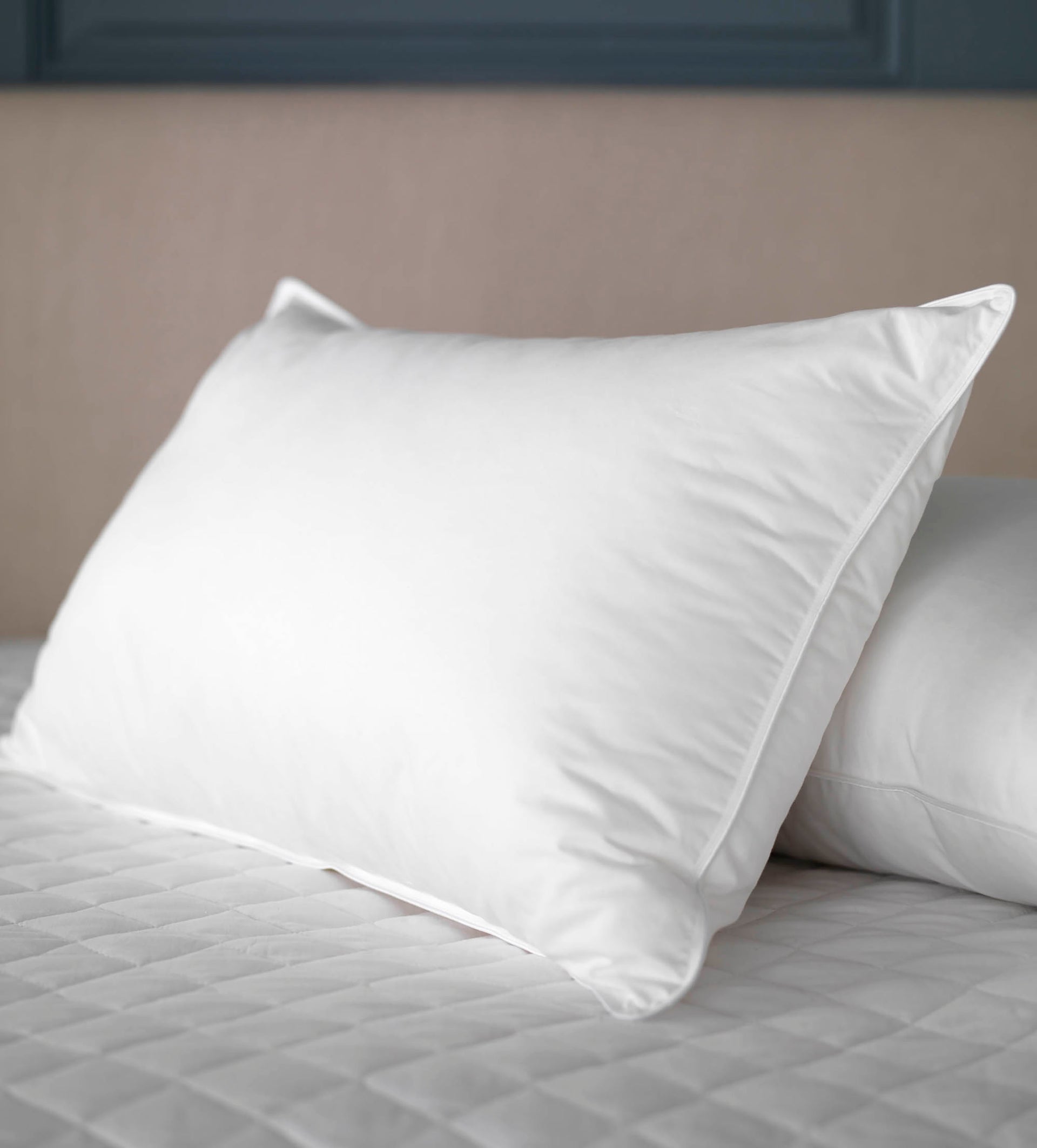 Hungarian Goose Feather & Down Pillow