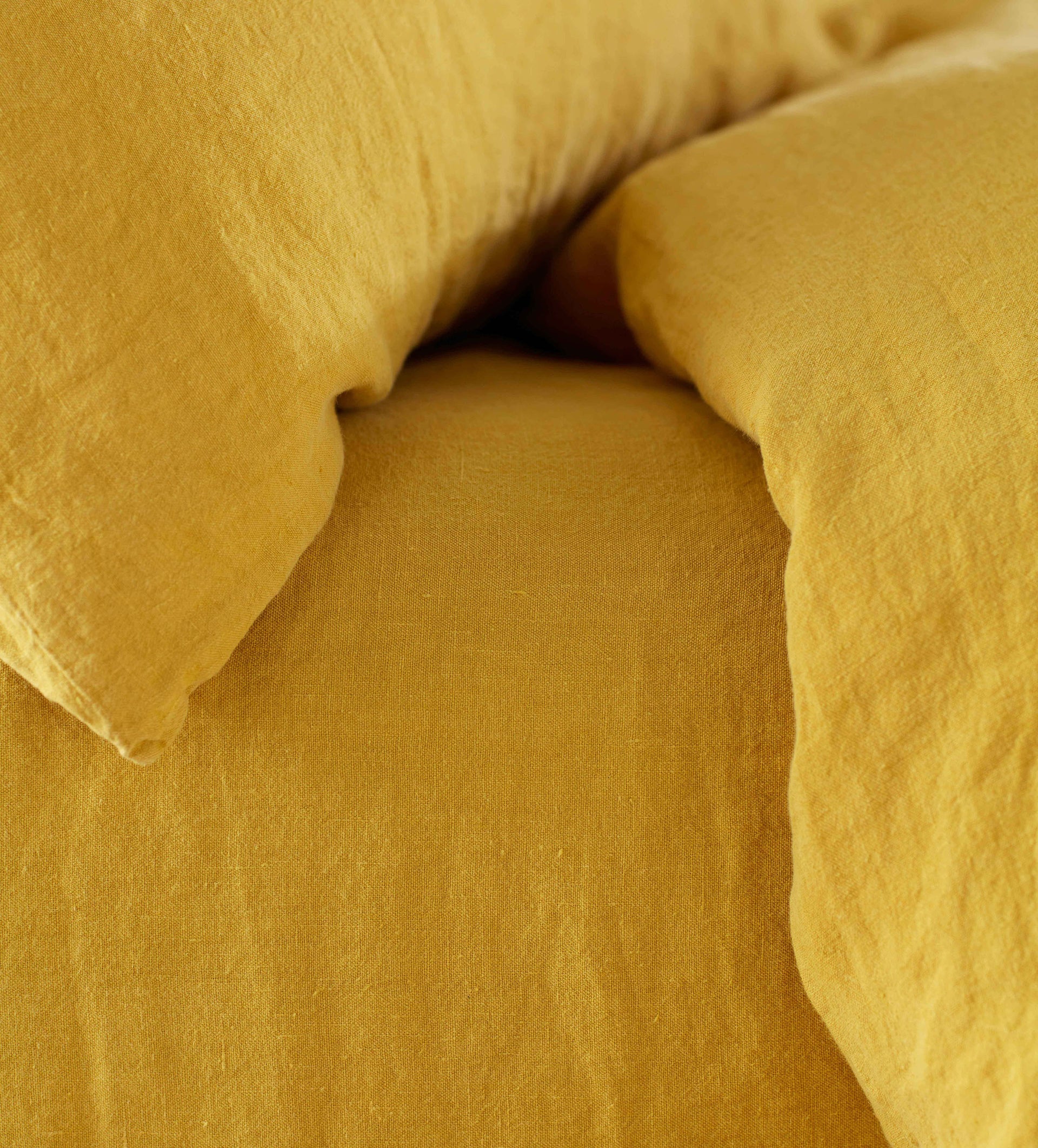 Mustard 100% Fitted Sheet