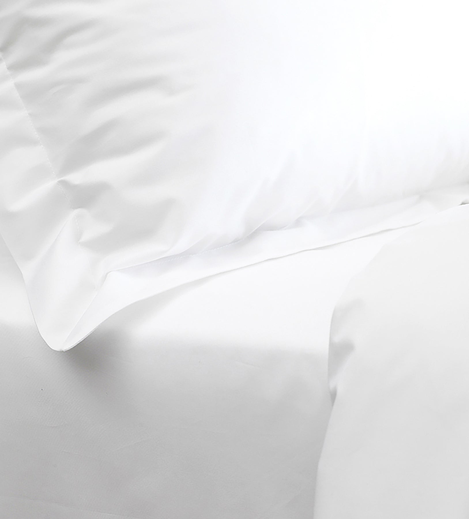 Drap plat - COTON ÉGYPTIEN - Rouge - 270 x 300 cm - 100% coton - 200